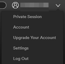 private session spotify mobile