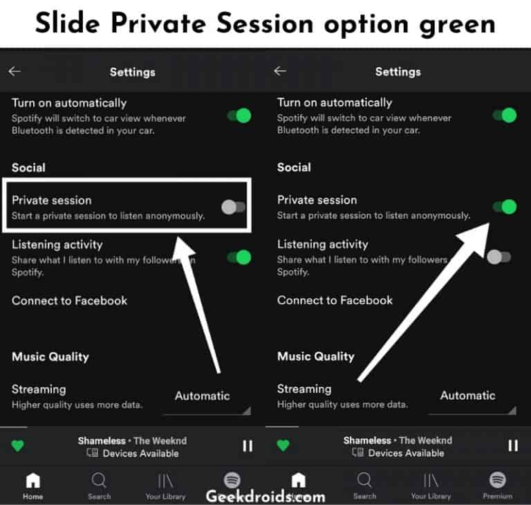 private session on spotify