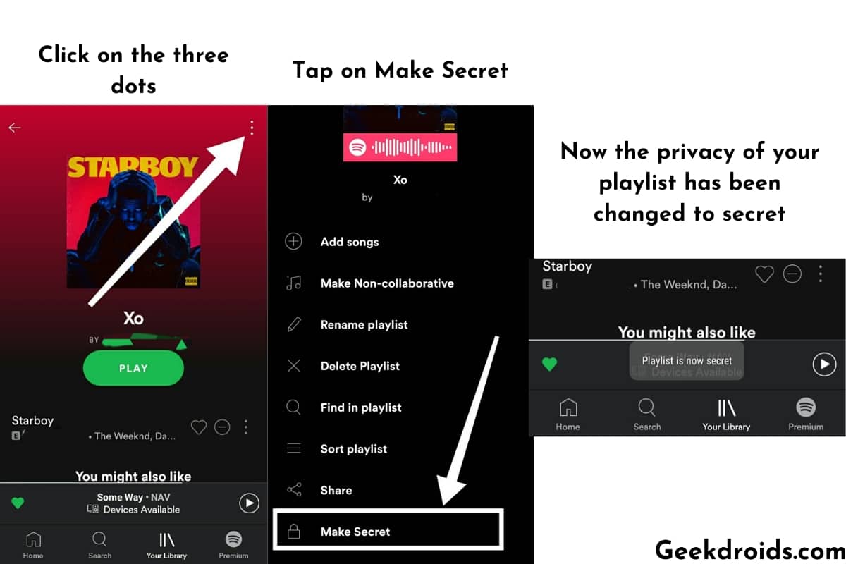 what is spotify private session